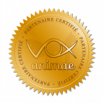 logo vox animae