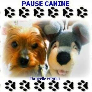 logo pause canine